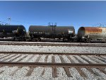 PRGX 10389